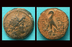 Seleucid, Antiochus VIII, Eagle reverse, c. 113/2 BC
